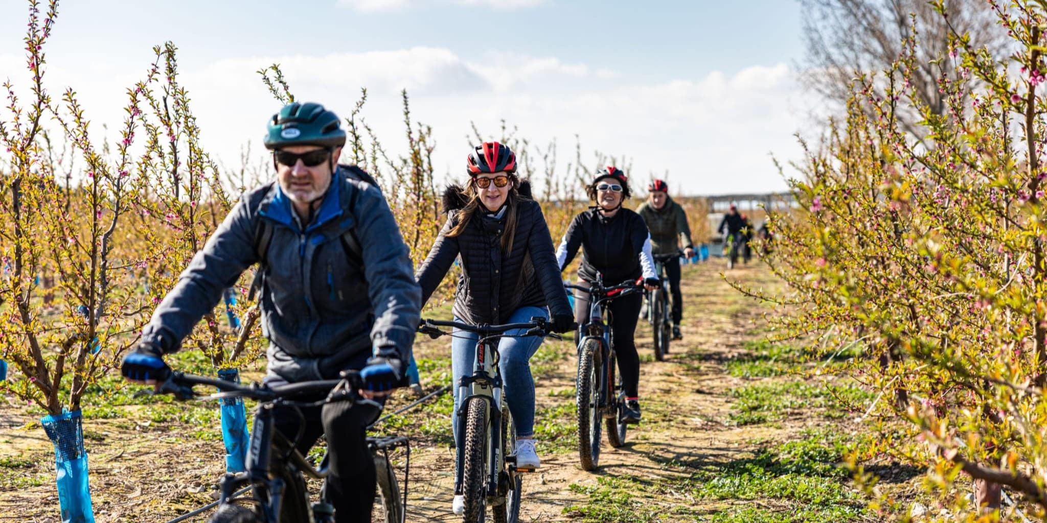 Ponent Explorers Home